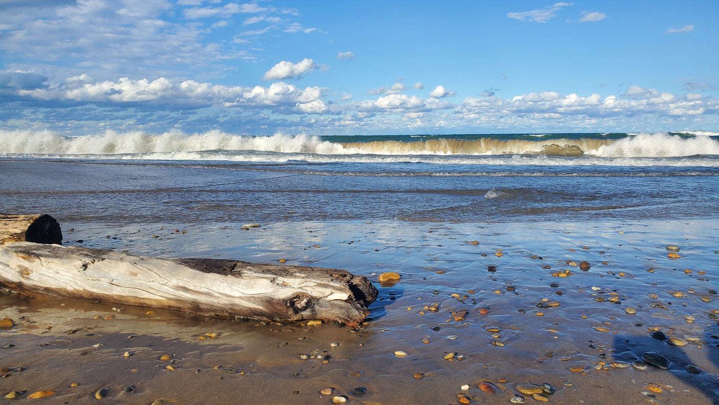 Wide view of a vibrant beach with white-capped waves, large driftwood on wet sand, and colorful pebbles. Ideal RV rental trip destination.