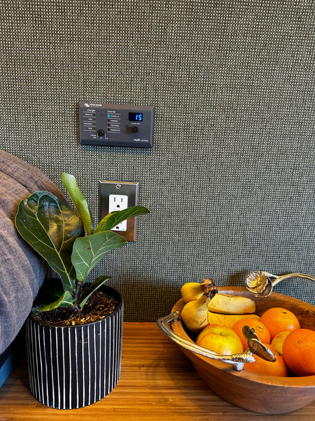 Inside an rv rental, a Victron control panel, power outlet, potted plant, and fresh fruit bowl offer comfort and utility.