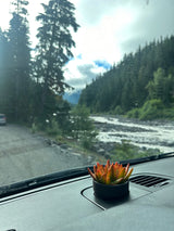 RV rental dashboard shows a succulent, overlooking a river, forest, and mountains. A serene nature escape.