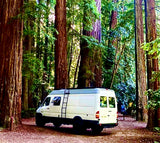 White camper van among towering redwood trees, showcasing a serene RV rental experience for forest adventures.