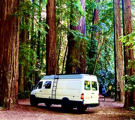 White camper van among towering redwood trees, showcasing a serene RV rental experience for forest adventures.