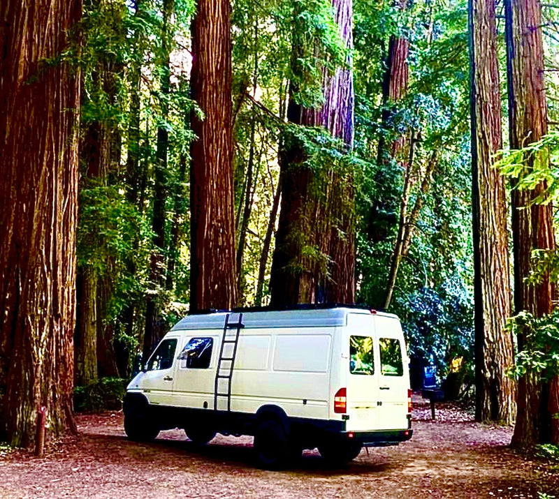 White camper van among towering redwood trees, showcasing a serene RV rental experience for forest adventures. — photo 16