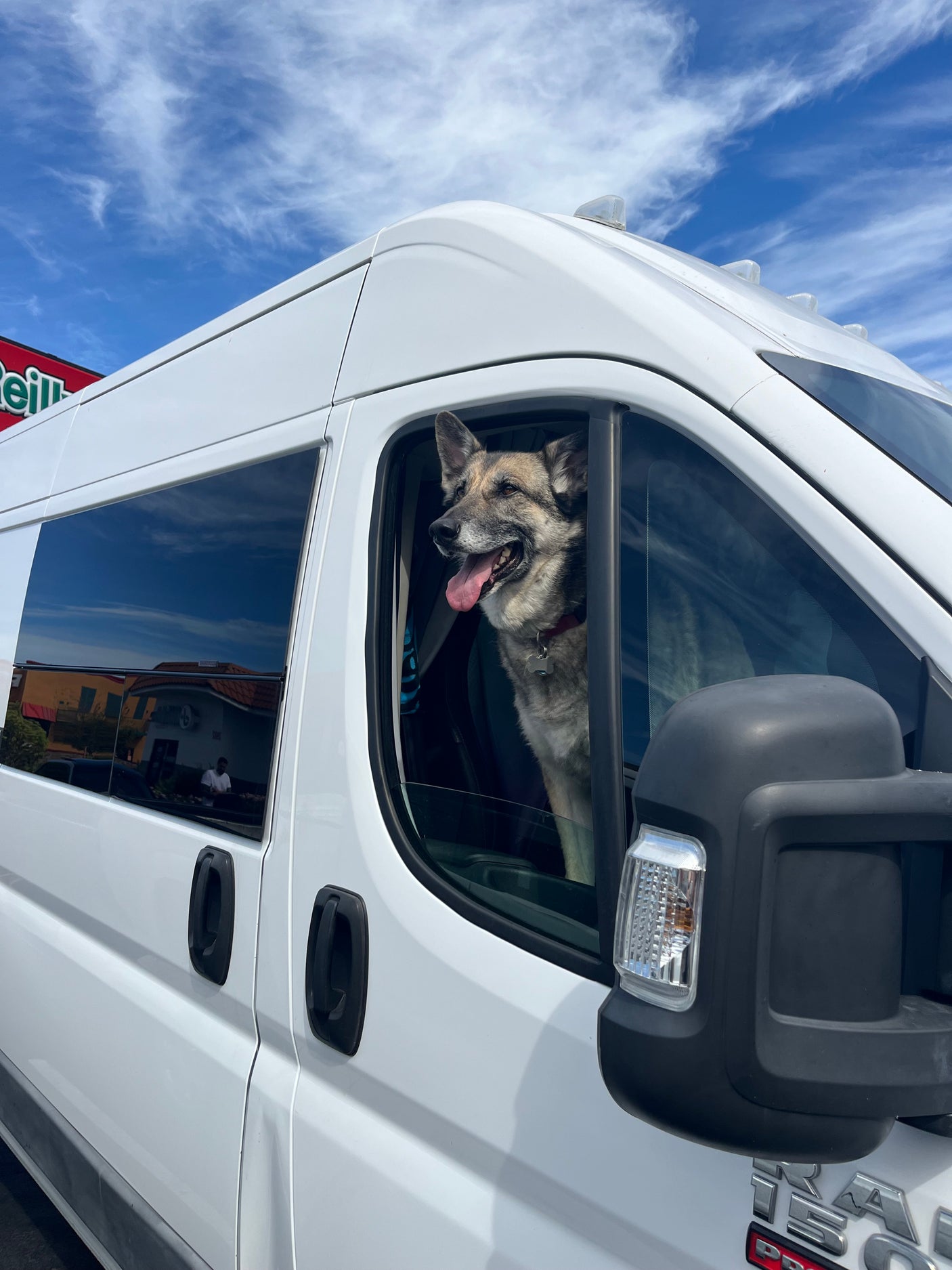 A happy dog enjoys the ride in a white rv rental van on a sunny day, perfect for pet-friendly travel adventures.