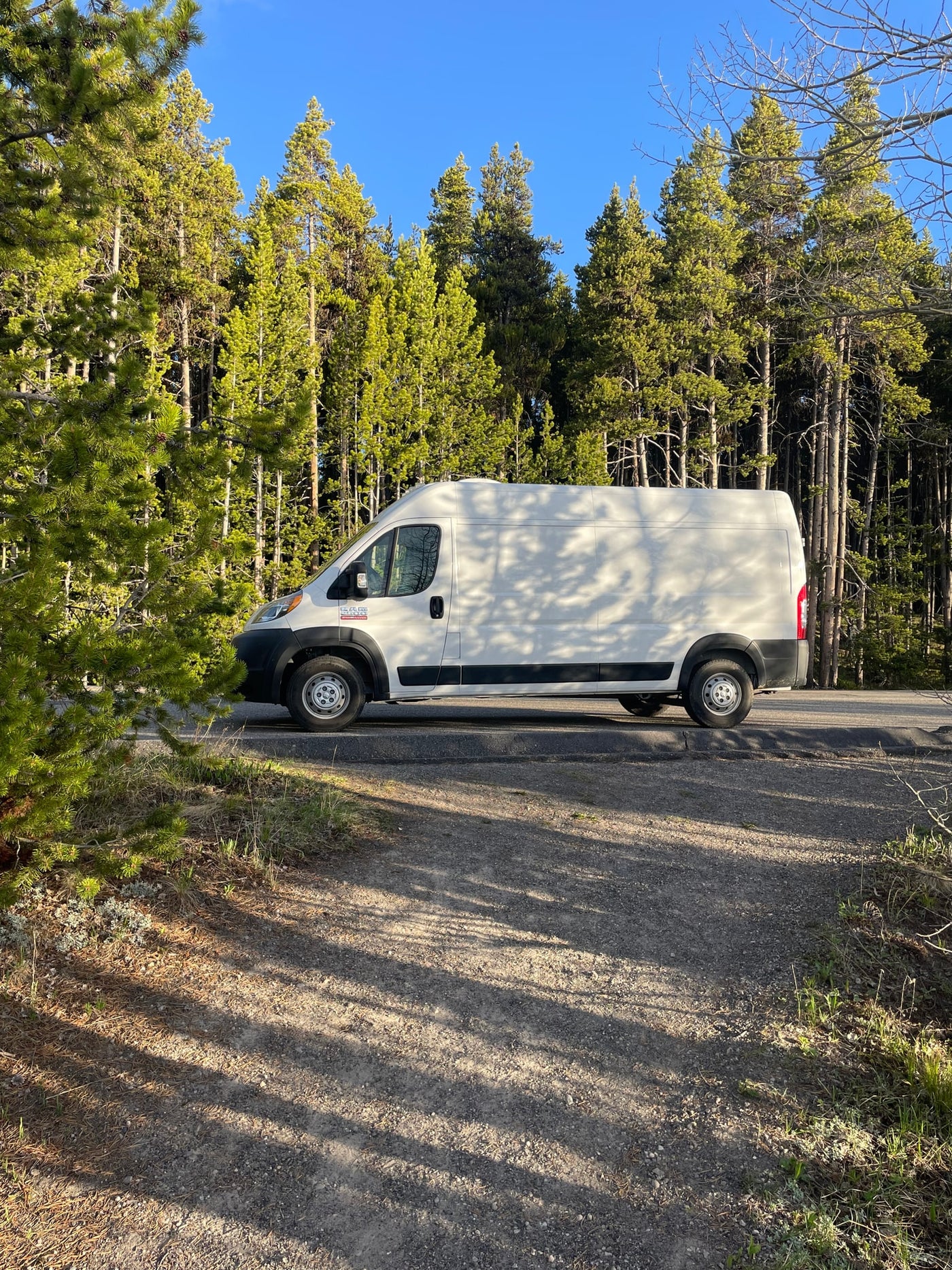 A white camper van (RV rental) parked by tall pine trees under a clear blue sky, ideal for outdoor travel. — photo 19