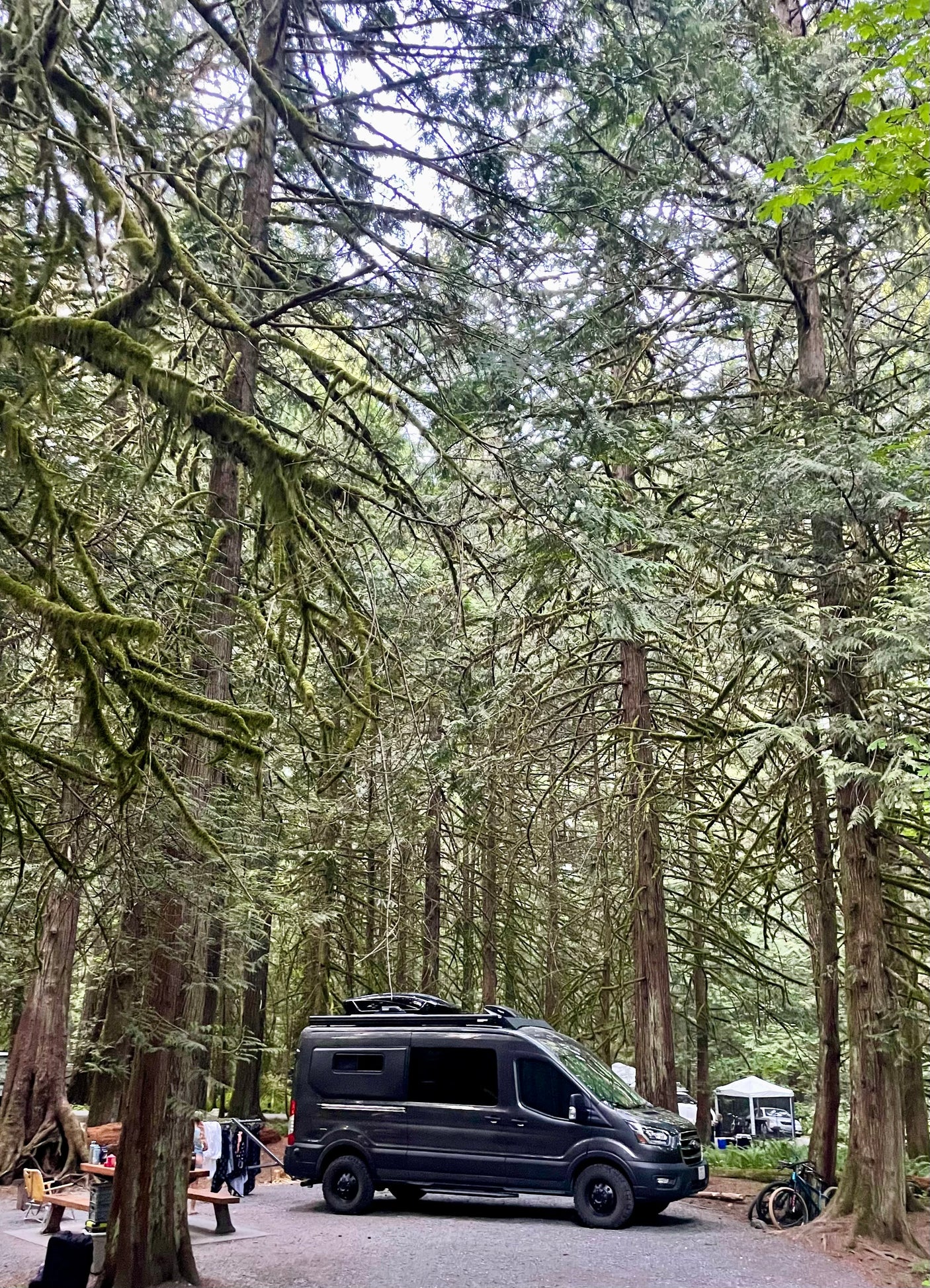 RV rental parked at a lush, mossy forest campsite with towering trees, picnic area, and bikes, perfect for nature travel.