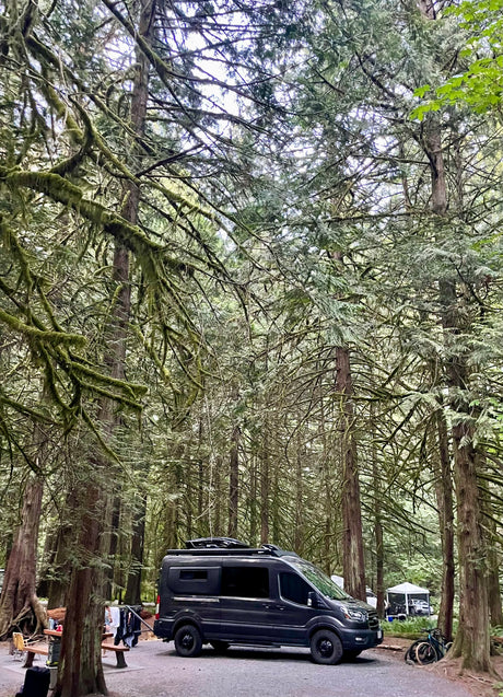 RV rental parked at a lush, mossy forest campsite with towering trees, picnic area, and bikes, perfect for nature travel.