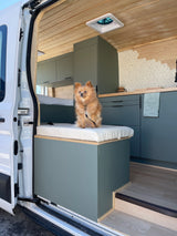A fluffy dog sits on a white cushion inside a custom-built RV rental, featuring wooden ceilings & stylish green cabinets.