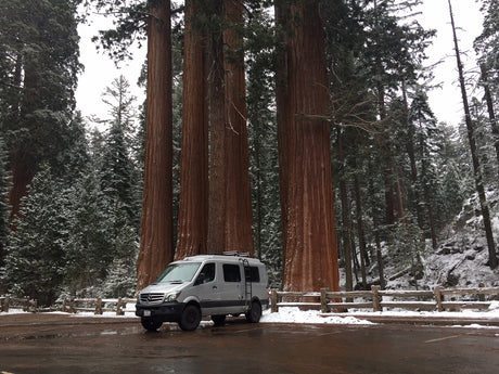 A silver RV rental van in a snowy parking lot, dwarfed by massive Giant Sequoia trees.