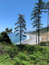 Scenic cliffside view of a vast beach, ocean waves, and green trees. Ideal for an RV rental escape!