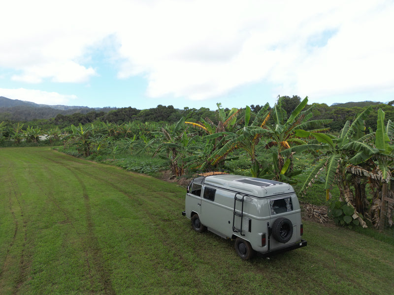 RV rental at a serene banana farm. Grey camper van with solar panels & roof rack amidst tropical greenery. — photo 2