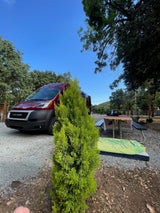 Red RAM ProMaster RV rental at a gravel campsite with a picnic table and shade trees, perfect for outdoor adventures.