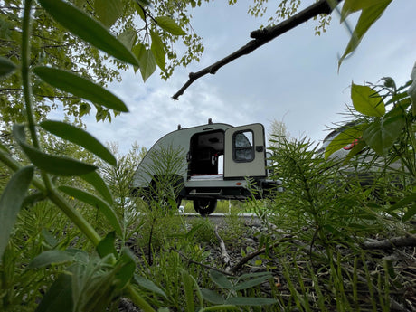 Low-angle view from dense greenery of a compact grey RV rental trailer with its door open, ideal for outdoor trips.