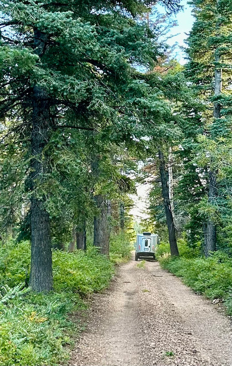 Wanderlust Adventurer — Airstream Basecamp 16X
