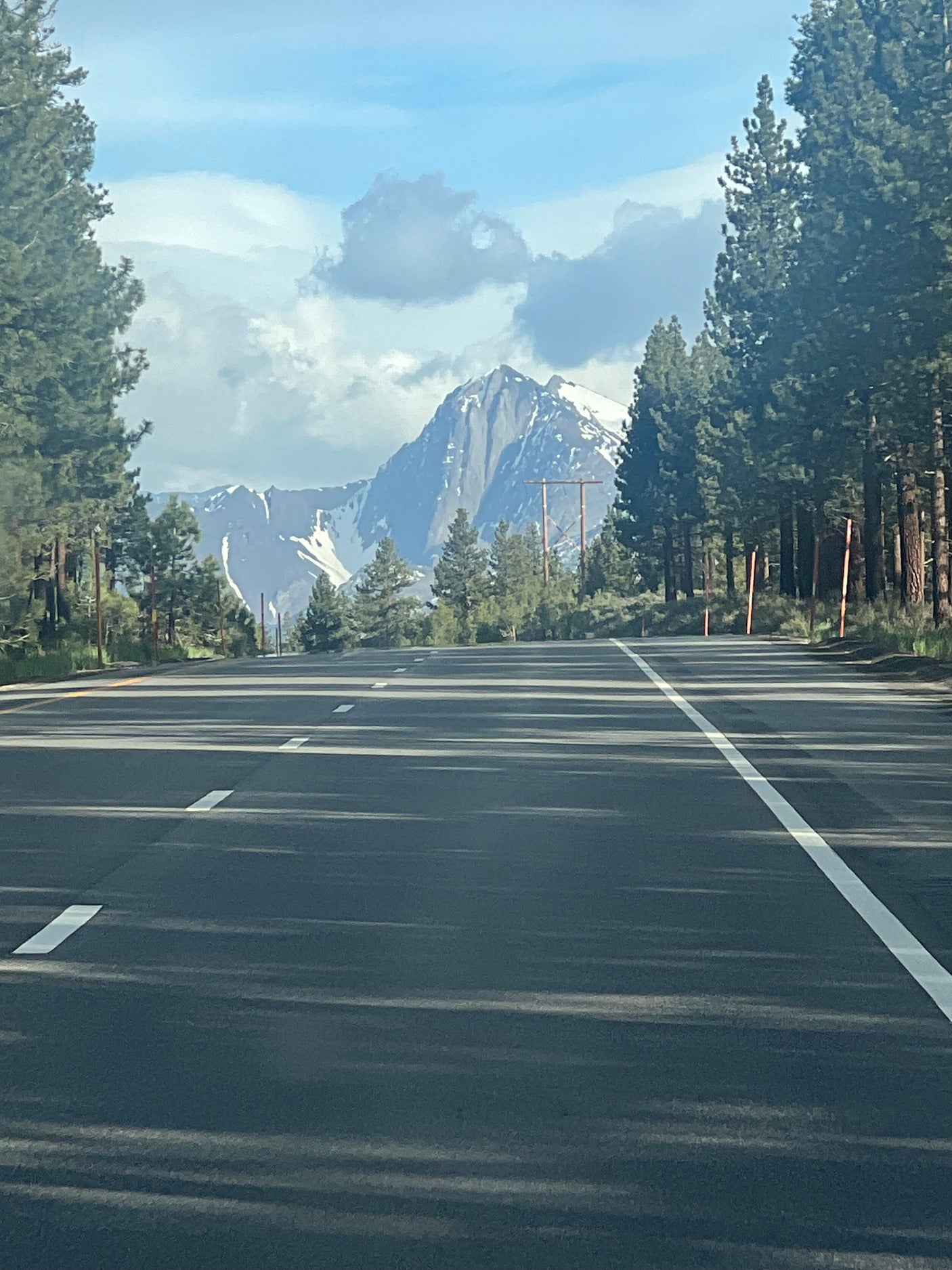 Paved road with tree shadows leading to snow-capped mountains and pine forests. Perfect for an rv rental road trip.