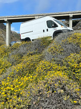 White RV rental van on a vibrant hillside covered in yellow wildflowers, with a large concrete bridge overhead.