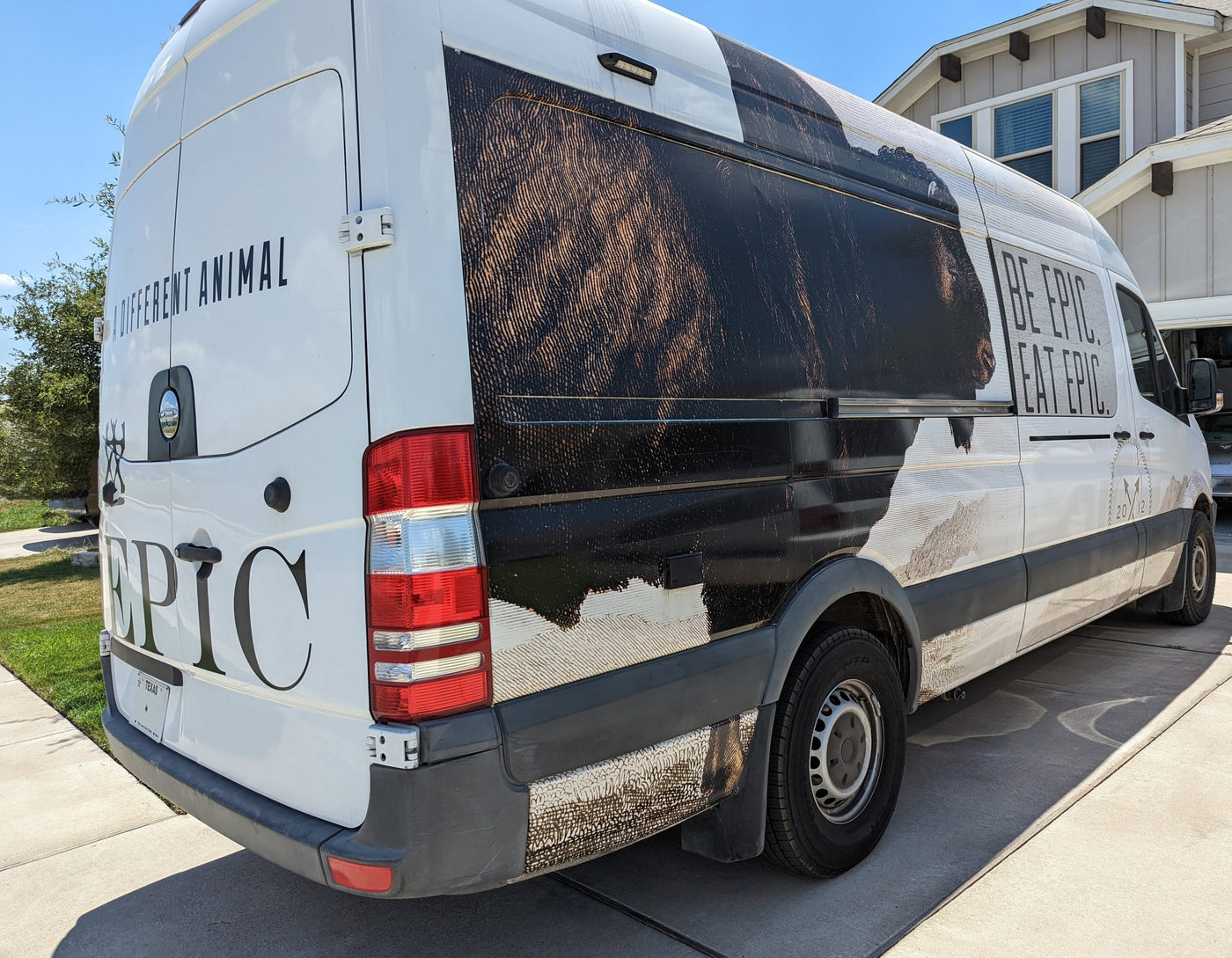 A white Mercedes-Benz Sprinter van, often used for RV rental conversions, sports bold "EPIC" branding & a bison wrap. — photo 2