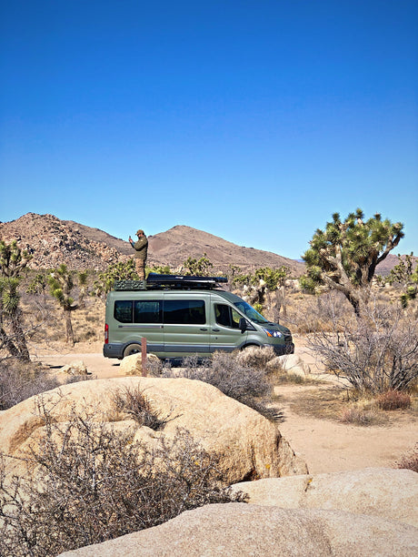 Adventure awaits! This green camper van, perfect for an rv rental, is parked among Joshua trees and rocks under a clear blue sky.