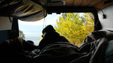 A person relaxes in an rv rental, looking out at vibrant fall foliage and distant mountains from a cozy bed, perfect for van life.