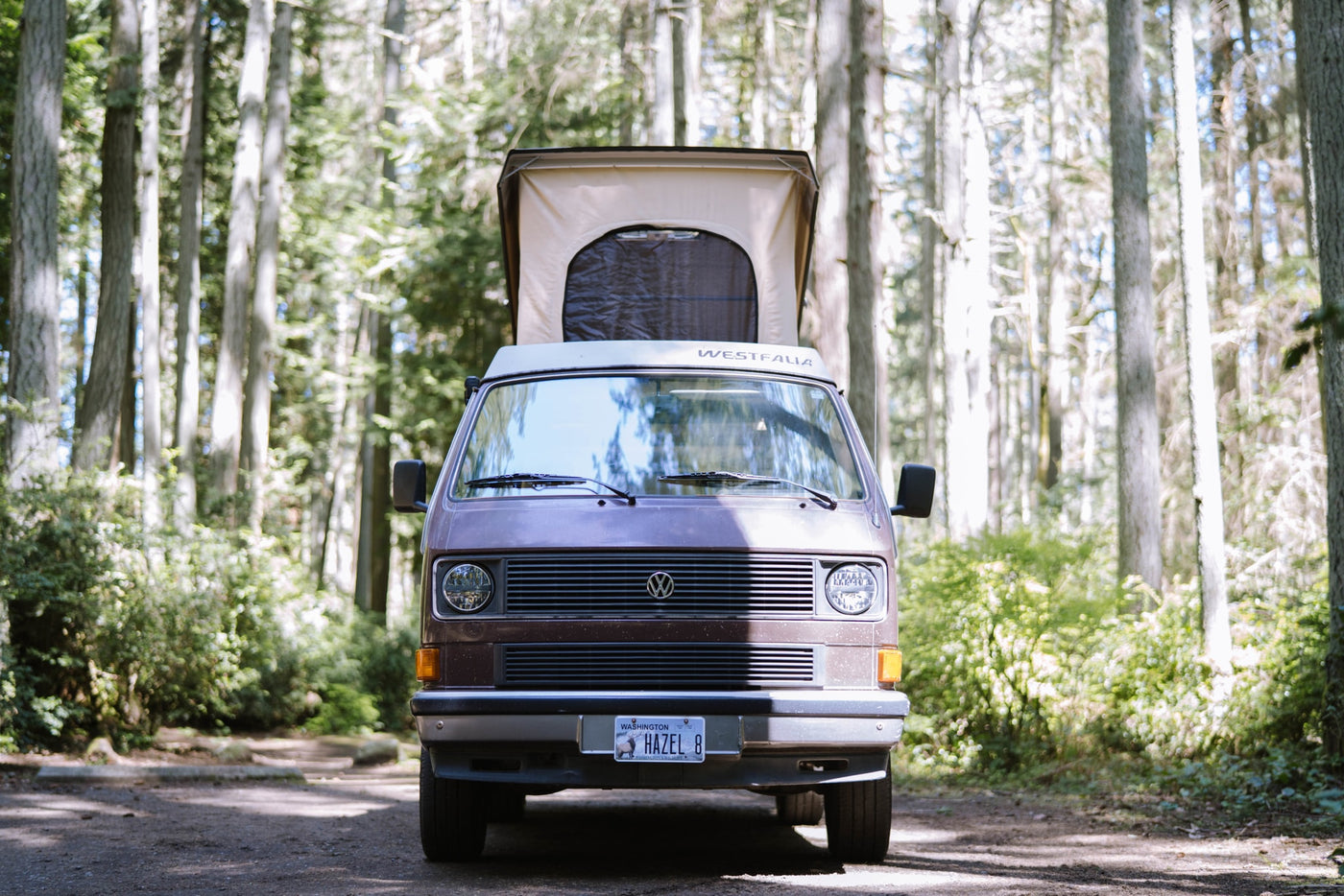  with its door open revealing the cozy interior — photo 3
