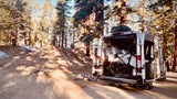 An RV rental sits in a sun-dappled forest, rear doors open revealing a cozy bed and bike inside for outdoor adventures.