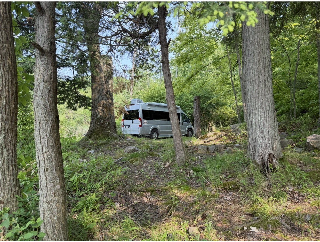 An RV rental is parked among tall trees in a green forest, perfect for a peaceful camping getaway. — photo 14