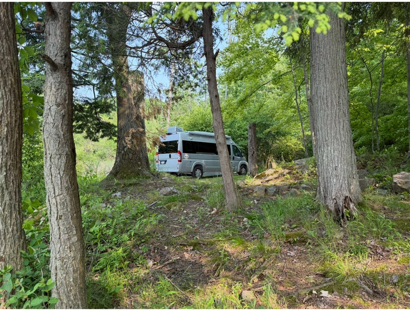 An RV rental is parked among tall trees in a green forest, perfect for a peaceful camping getaway. — photo 14