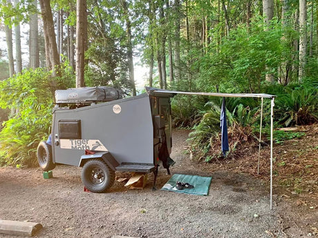 2019 Taxa Tiger Moth in Bremerton, WA (photo 1)
