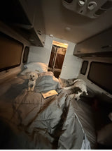 Cozy RV rental interior with two dogs on the bed—one white, one white/brown—and a laptop, ideal for pet-friendly travel.