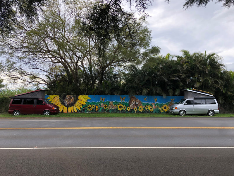 Two colorful camper vans, possibly RV rentals, parked by a vibrant lion and sunflower mural on a roadside. — photo 18