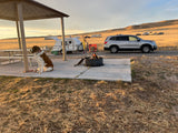 A St. Bernard at a spacious campground with a small RV rental, burning campfire, and silver SUV at dusk.