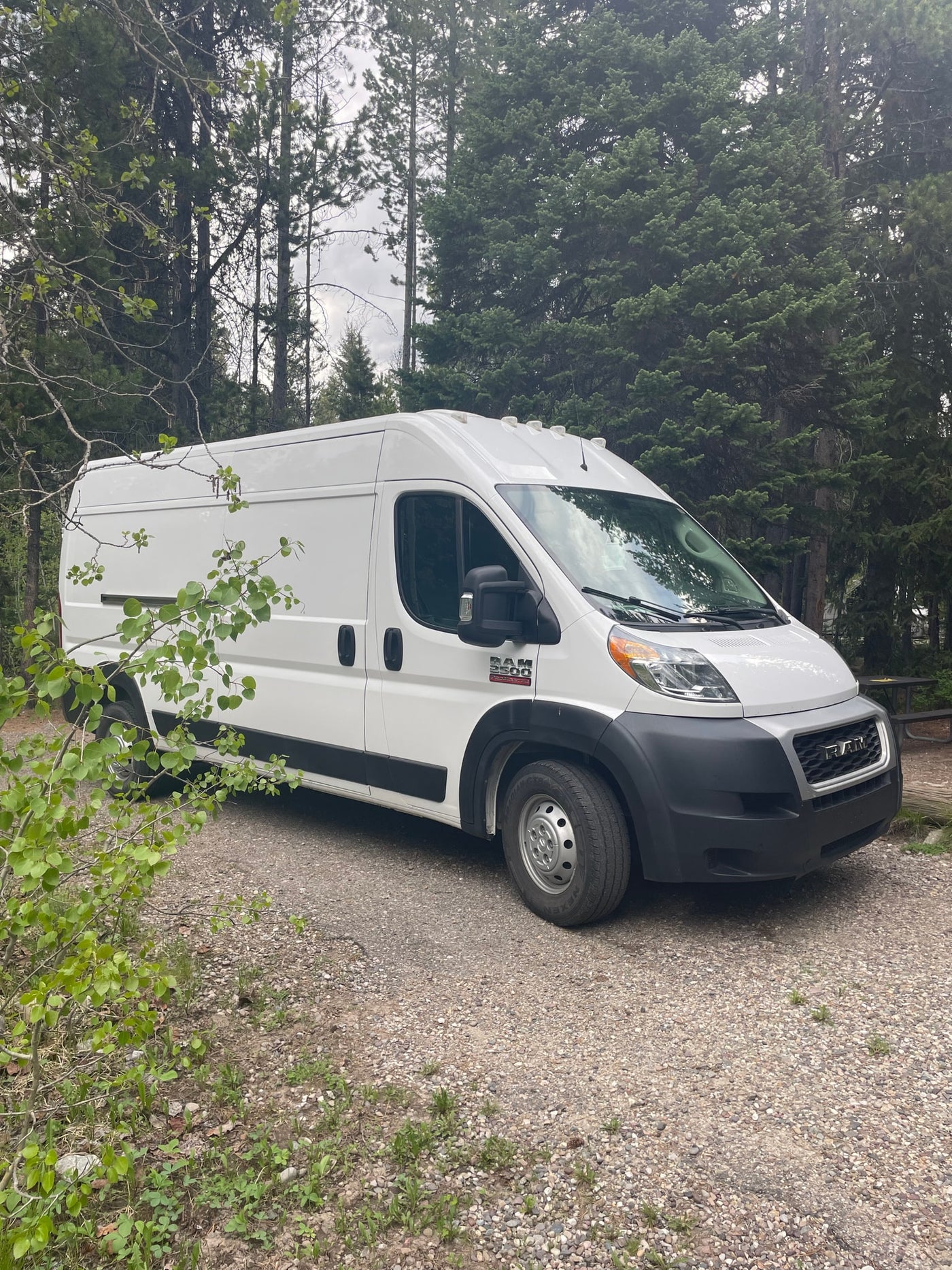 A white Ram ProMaster van is parked on a gravel campsite amidst trees, perfect for your next rv rental adventure. — photo 1