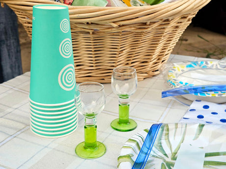 Picnic supplies for an RV rental trip: turquoise cups, green glasses, and paper plates on a plaid tablecloth.