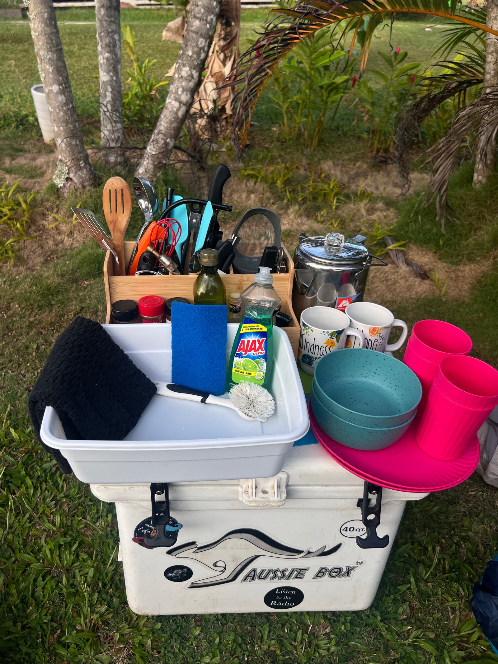 RV rental ready! Organized outdoor kitchen setup on a cooler, with cooking tools, dishware, and cleaning supplies for camp meals.
