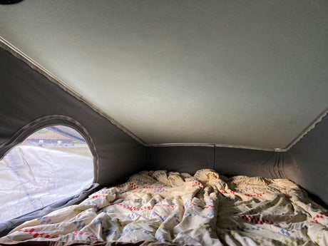RV rental pop-top sleeping area with a patterned bed and clear window view.