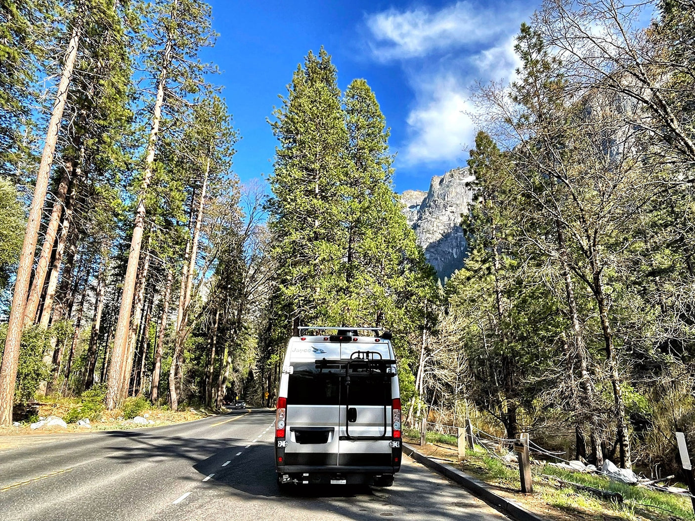 Rear of an RV rental parked on a scenic road through a forest. Tall trees frame the route, with mountains visible under a blue sky.