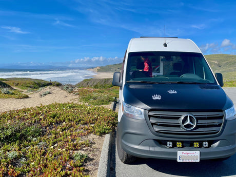White & black RV rental Sprinter van with bear paw decals parked by a California coastal beach.