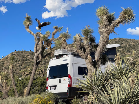 Take a spin with Vannawt! Our Solis 59P promises adventure at every turn! — photo 2
