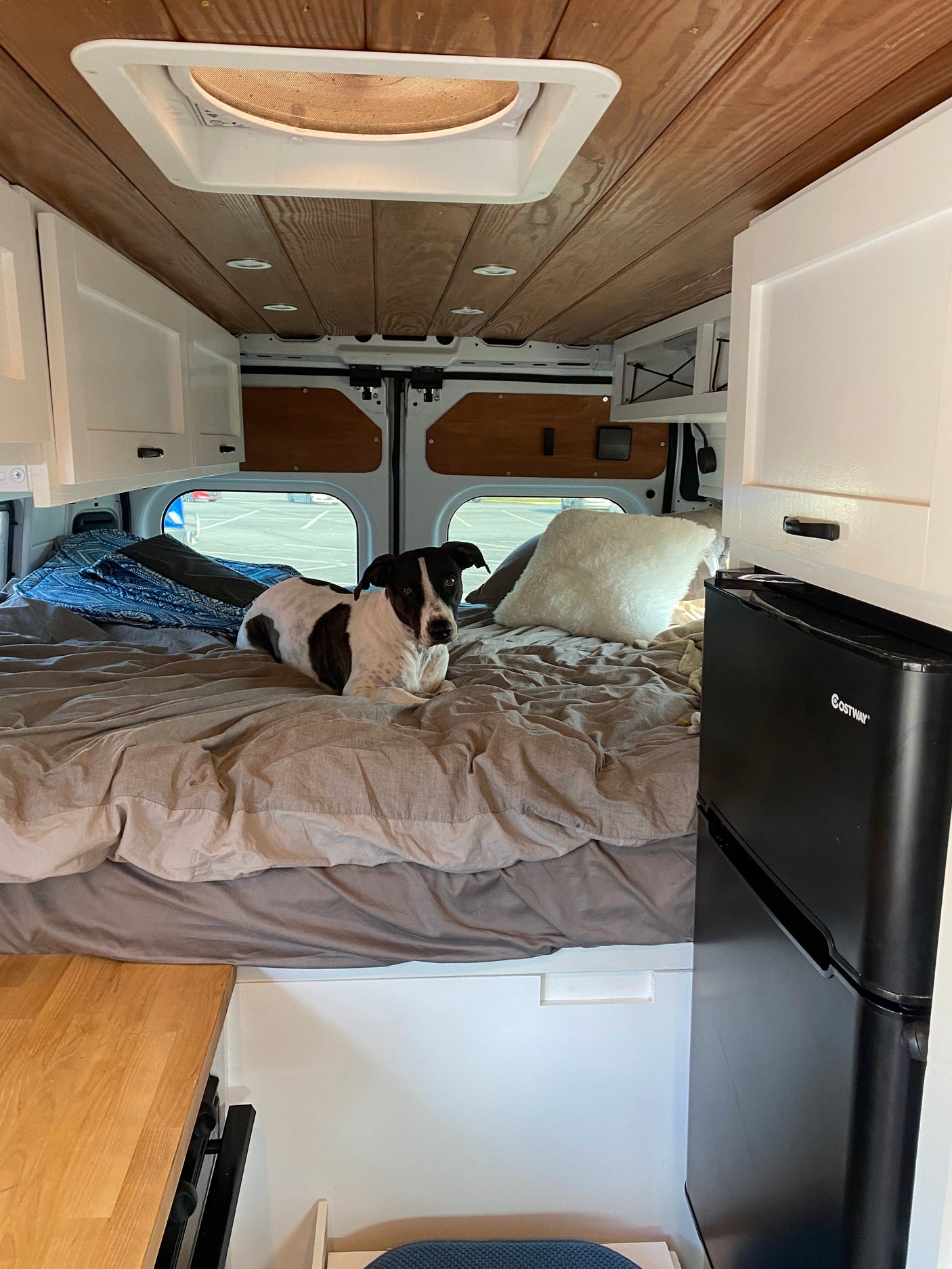 RV rental: van interior with dog on bed, wood paneling, white cabinets, & black mini-fridge.
