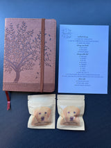 An RV rental welcome kit featuring a notebook, an amenities list for storage, and two bags of dog treats for guests.