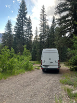 White Sprinter RV rental van parked on a gravel path in a lush forest, surrounded by tall pine trees and green foliage.