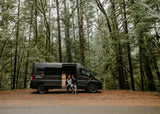 An RV rental parked by a mossy forest allows a couple to enjoy nature from their camper van's open door.