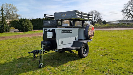 2021 TAXA woolly bear in Portland, OR (photo 1)