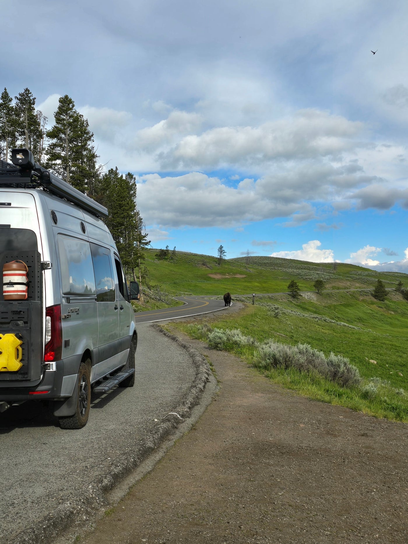 Silver RV rental parked roadside in a lush green valley, with a bison walking down the winding road ahead, under a cloudy sky. — photo 9