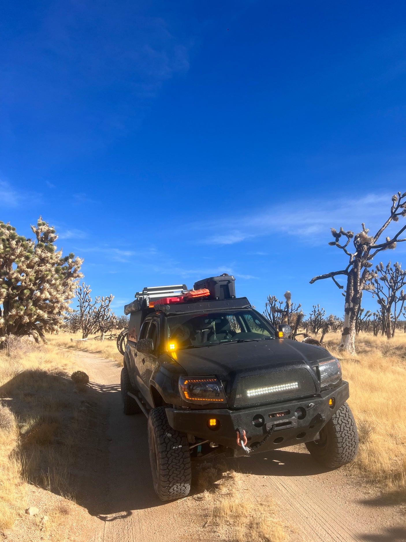 Custom black Tacoma explores a Joshua tree desert trail. Great for adventures where an RV rental won't go.
