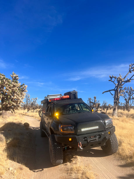Custom black Tacoma explores a Joshua tree desert trail. Great for adventures where an RV rental won't go.