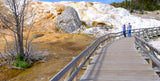 Yellowstone's Mammoth Hot Springs boardwalk reveals white travertine terraces & geothermal colors. Great RV rental trip!