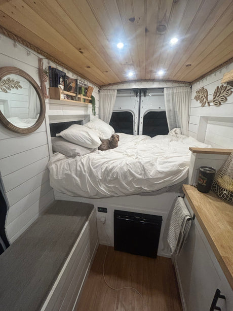 Cozy RV rental interior: shiplap walls, wood ceiling, comfy bed with a relaxed dog. An inviting tiny home for travel.