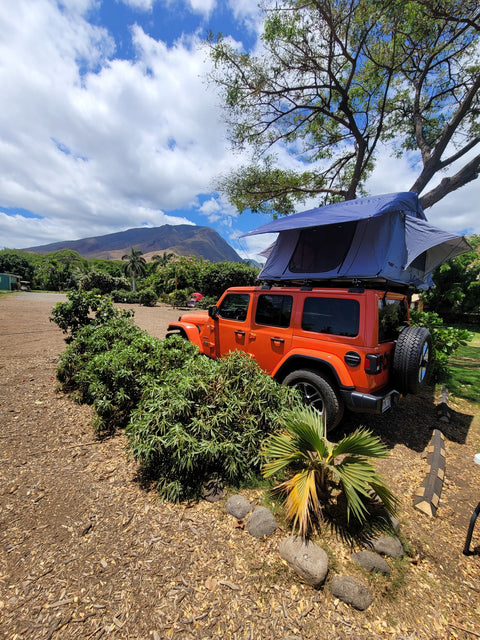 2019 Jeep Wrangler — photo 2