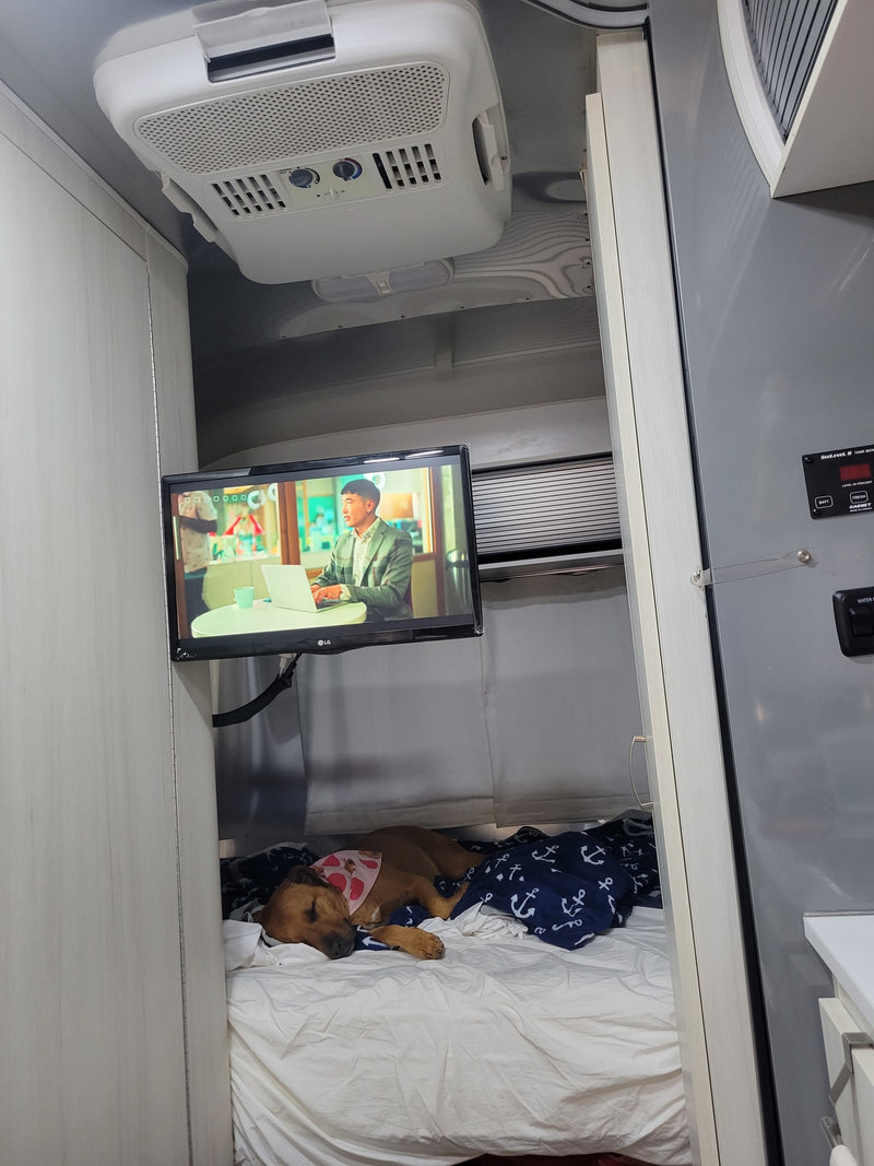 Relaxing RV rental interior: dog resting on bed with TV, overhead AC unit, and tank monitor. — photo 14