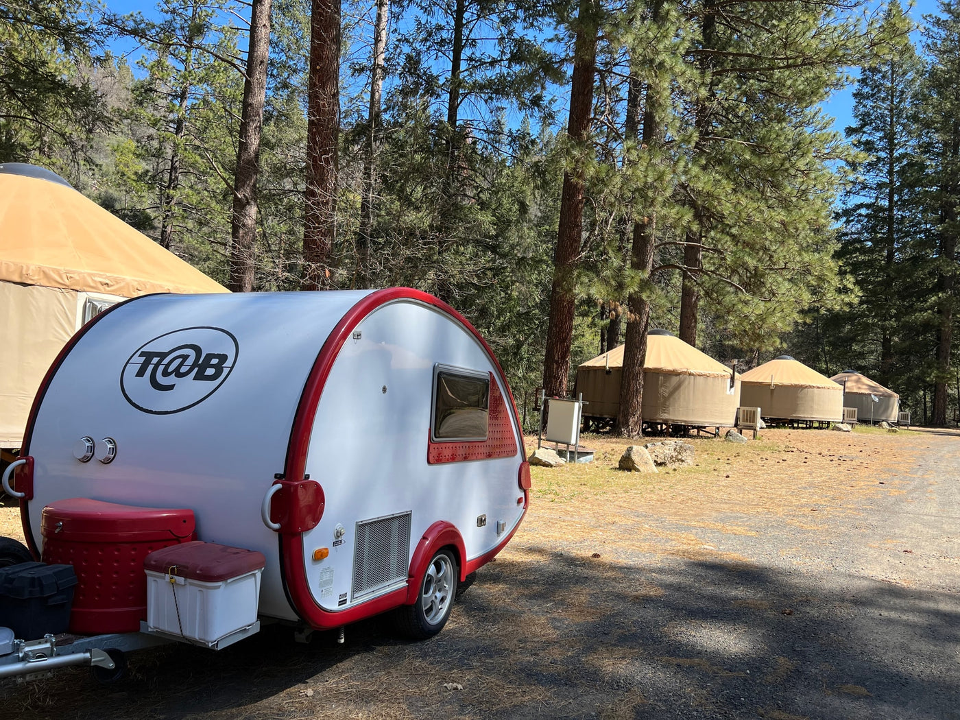  with a serene window view of green trees.|RV rental breakfast: Frying eggs and brewing coffee in a compact galley — photo 15